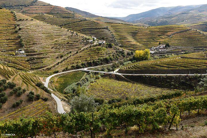 Quinta Vale D. Maria