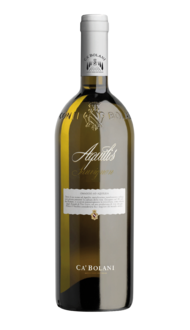 Tenuta Ca’Bolani Aquilis Sauvignon Blanc